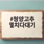 청양고추 멸치다대기