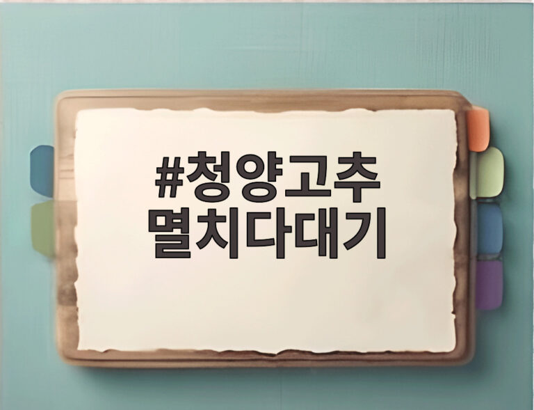 청양고추 멸치다대기