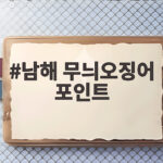 남해 무늬오징어 포인트와 시즌 공략 남해 무늬오징어 포인트