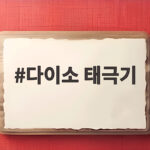 현충일 대비 다이소 태극기 가격과 게양법 다이소 태극기