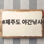 제주도 야간낚시 한치 손맛 체험 추천 제주도 야간낚시