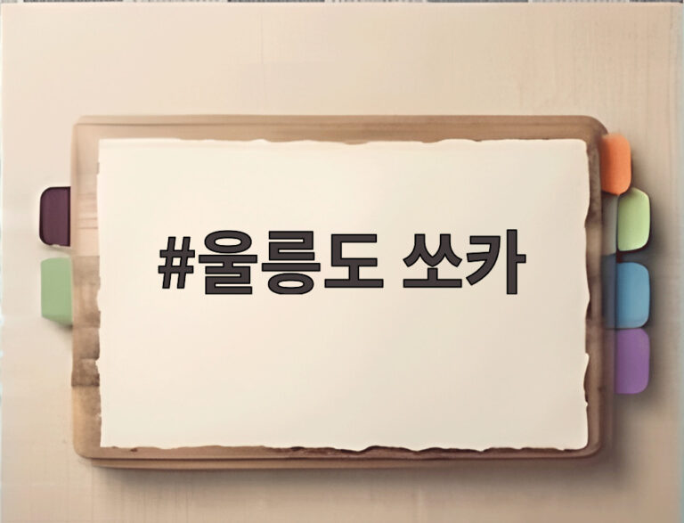 울릉도 쏘카
