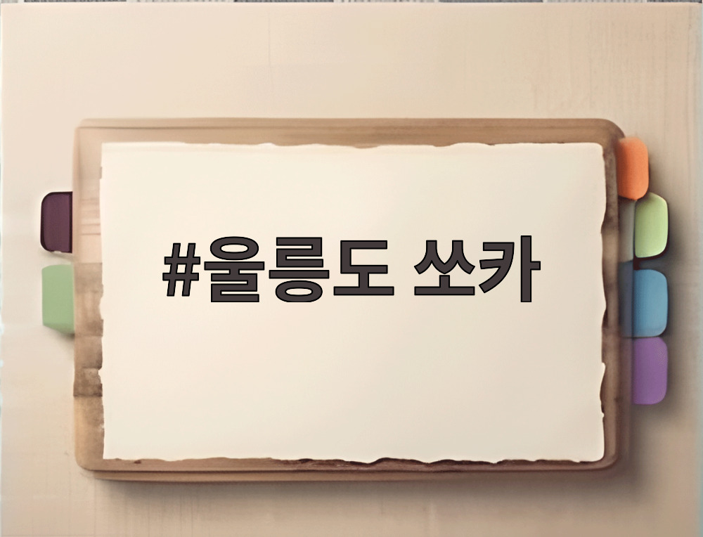 울릉도 쏘카
