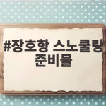 장호항 스노쿨링 준비물 체크리스트 장호항 스노쿨링 준비물