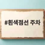 흰색점선 주차 가능 시간과 단속 기준 총정리 흰색점선 주차