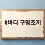 바다 구명조끼 안전하게 고르는 방법 바다 구명조끼