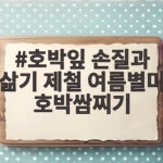 호박잎 손질과 삶기 제철 여름별미 호박쌈찌기