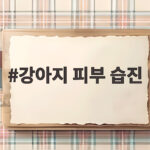 강아지 피부 습진