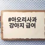 아오리사과 강아지 급여
