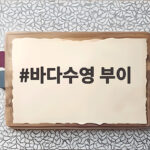 바다수영 부이