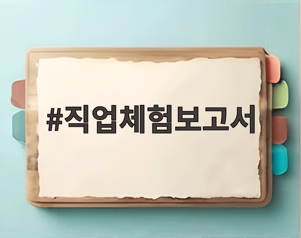 직업체험보고서