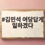 김민석 여당답게 일하겠다