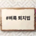 벼룩 퇴치법 물린 자국 총정리 벼룩 퇴치법