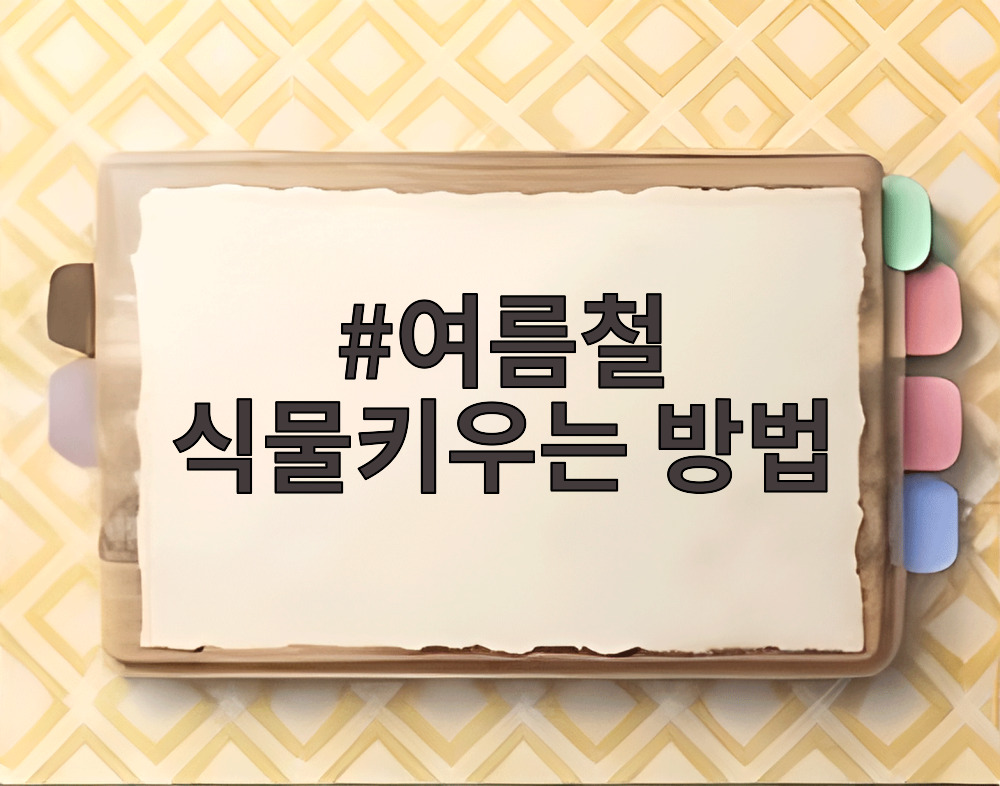 여름철 식물키우는 방법