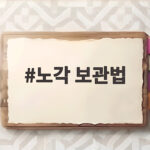 노각 오래 보관하고 아삭하게 먹는 법 노각 보관법