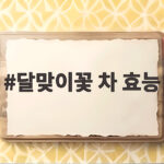 달맞이꽃 차 효능