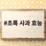 초록 사과 효능 칼로리 비교와 제철 정보 초록 사과 효능