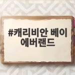 캐리비안베이 에버랜드 종일권 완전정복 캐리비안 베이 에버랜드