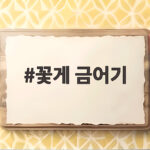 꽃게 금어기