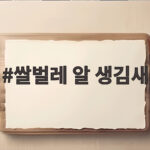 쌀벌레 알 생김새