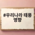 우리나라 태풍 영향