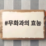 무화과의 효능