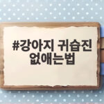 강아지 귀습진 없애는법