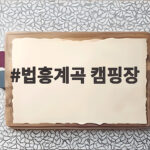 법흥계곡 캠핑장 시원한 여름 피서 법흥계곡 캠핑장