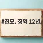 친모, 징역 12년.