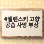 젤렌스키 고향 공습 사망 부상