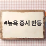 뉴욕 증시 반등