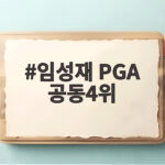 임성재 PGA 공동4위