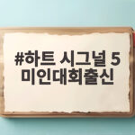 하트 시그널 5 미인대회출신 출연자 불륜 의혹 제작진 입장과 전모 하트 시그널 5 미인대회출신