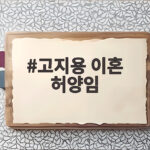 고지용 이혼 허양임 아들과 4주 만에 재회한 사연과 놀라운 근황 고지용 이혼 허양임