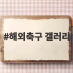 해외축구 갤러리, 월드컵 패배 후 설영우 법적대응 논란을 말하다 해외축구 갤러리