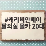 캐리비안베이 탈의실 몰카 20대