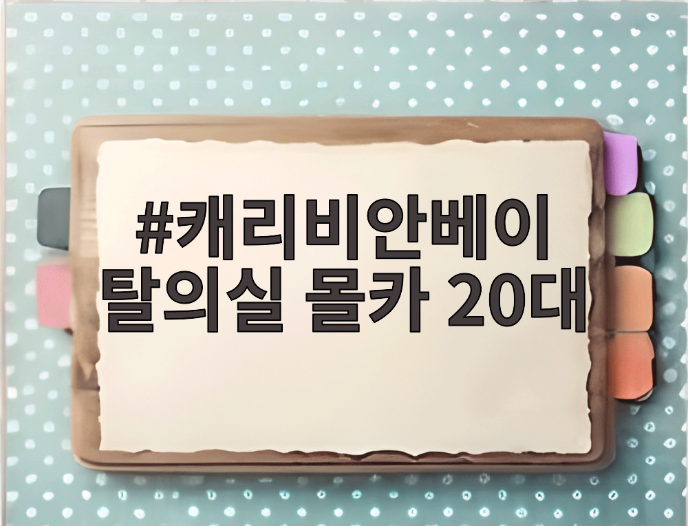캐리비안베이 탈의실 몰카 20대
