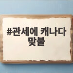 미국 50% 관세 부과에 캐나다 맞불 보복 무역전쟁 예고 관세에 캐나다 맞불