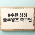 수원 삼성 블루윙즈 축구단