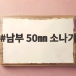 남부 50㎜ 소나기