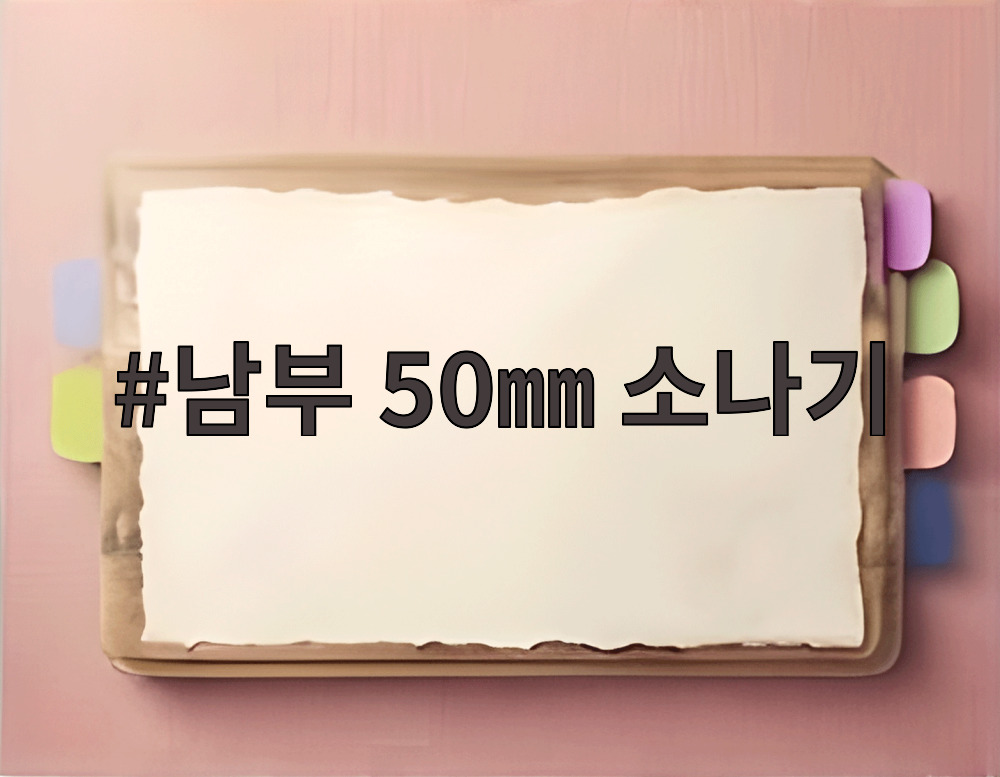 남부 50㎜ 소나기