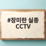 장미란 실종 CCTV