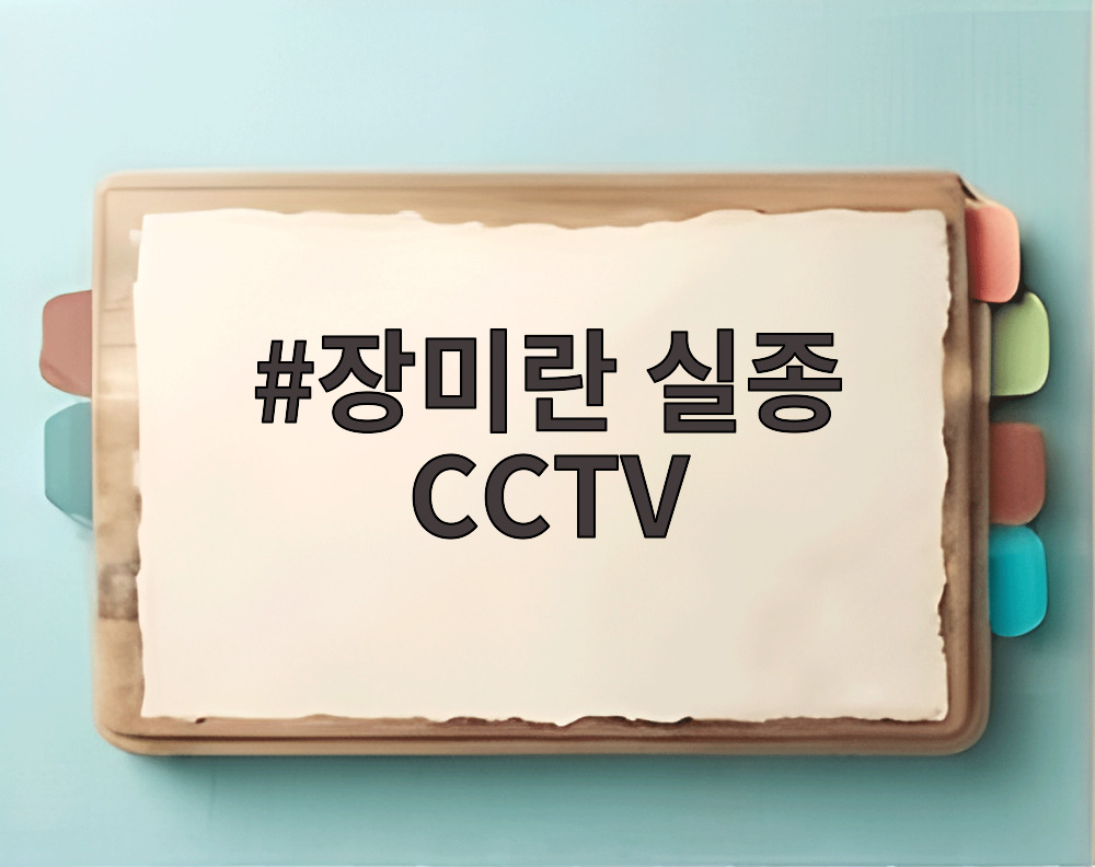 장미란 실종 CCTV