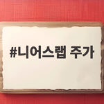 니어스랩 주가 코스닥 상장 첫날 13프로 급락한 배경과 향후 투자 전망 니어스랩 주가