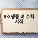 조생종 벼 수확 시작