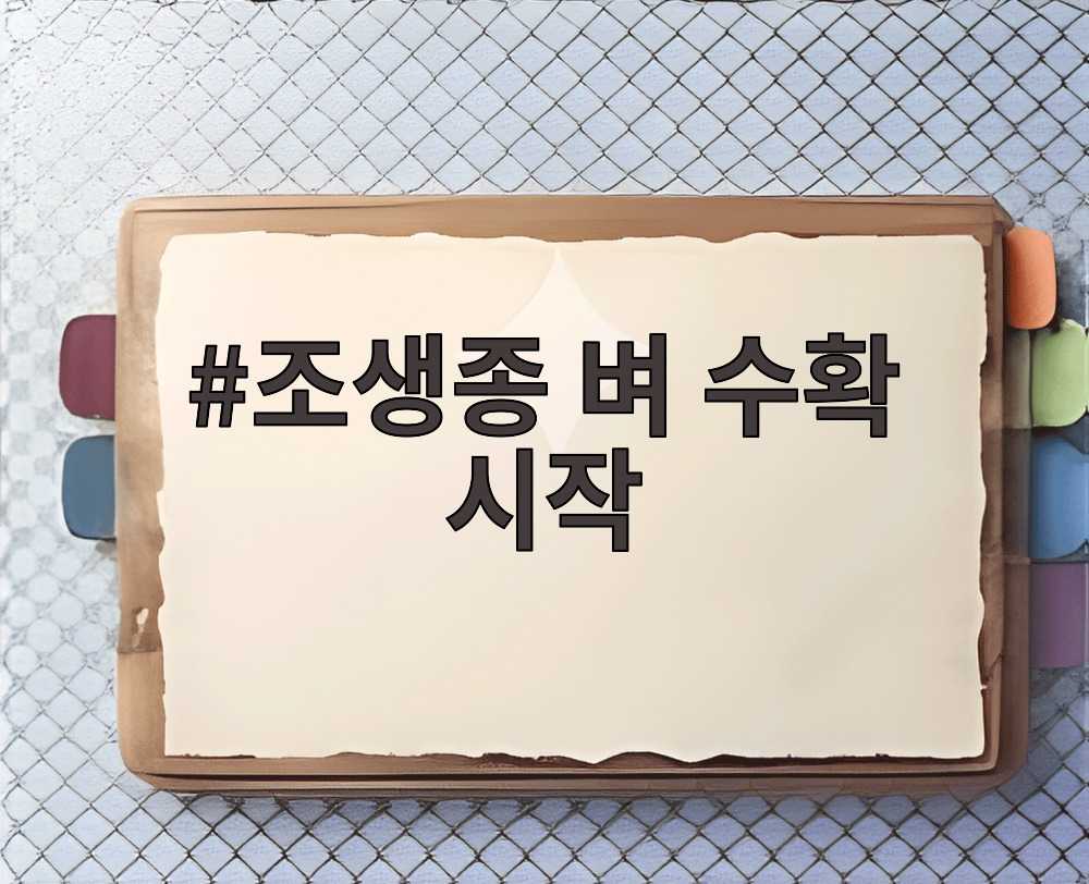 조생종 벼 수확 시작
