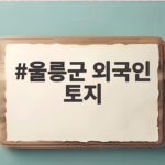 울릉군 외국인 토지
