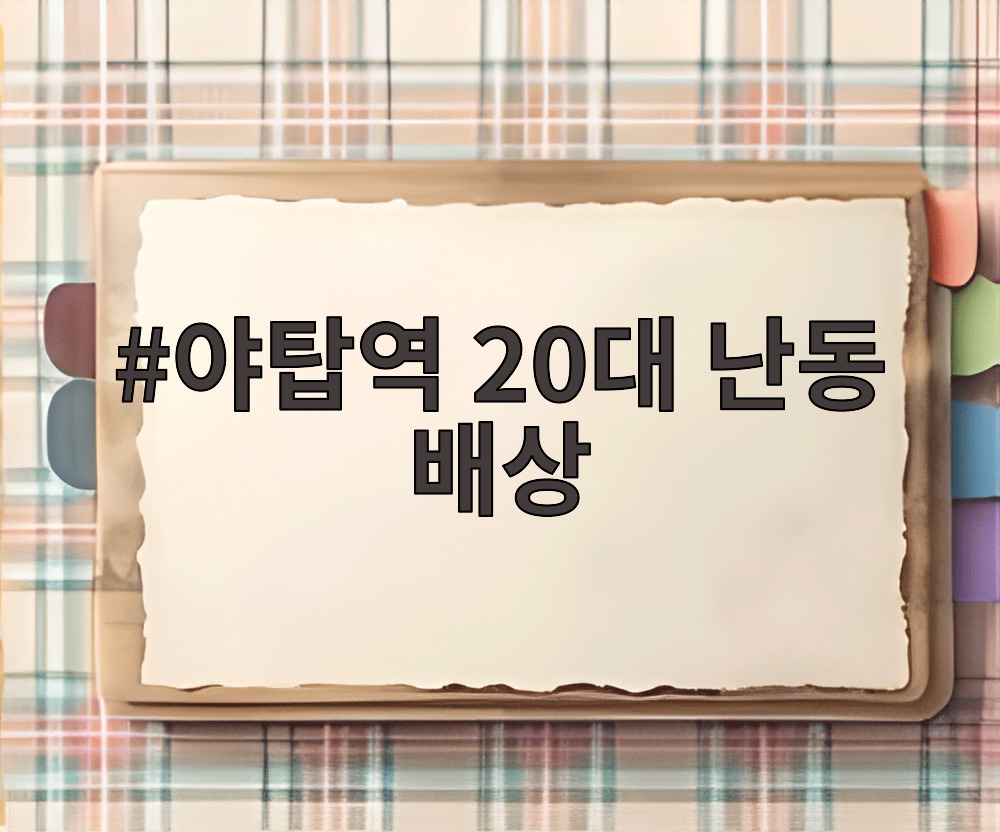 야탑역 20대 난동 배상