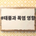 태풍과 폭염 영향