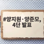 양지원 양준모 하루아침에 쏟아낸 이혼 재혼 결혼 임신 발표 양지원·양준모, 4단 발표